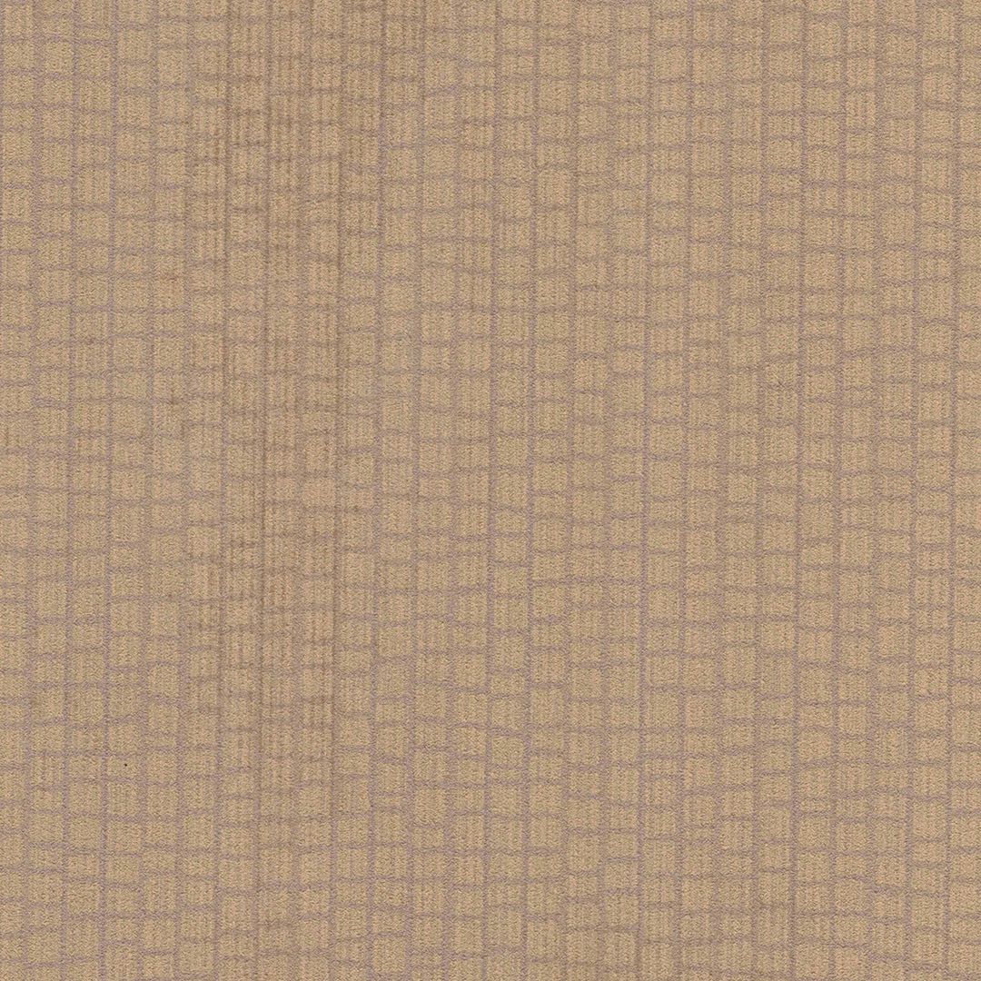 SPECTRA CHAPTER 1 BB-CI-06