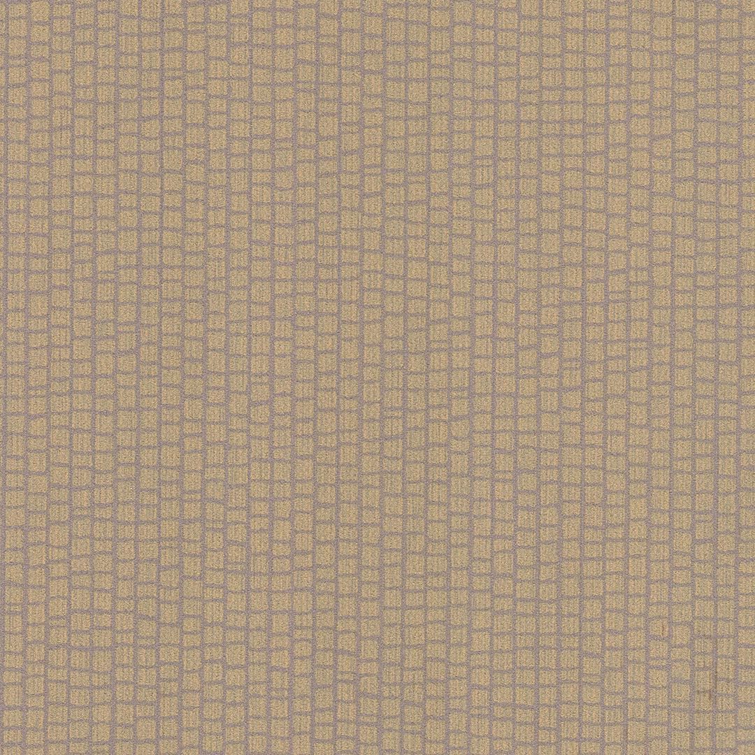 SPECTRA CHAPTER 1 BB-CI-09