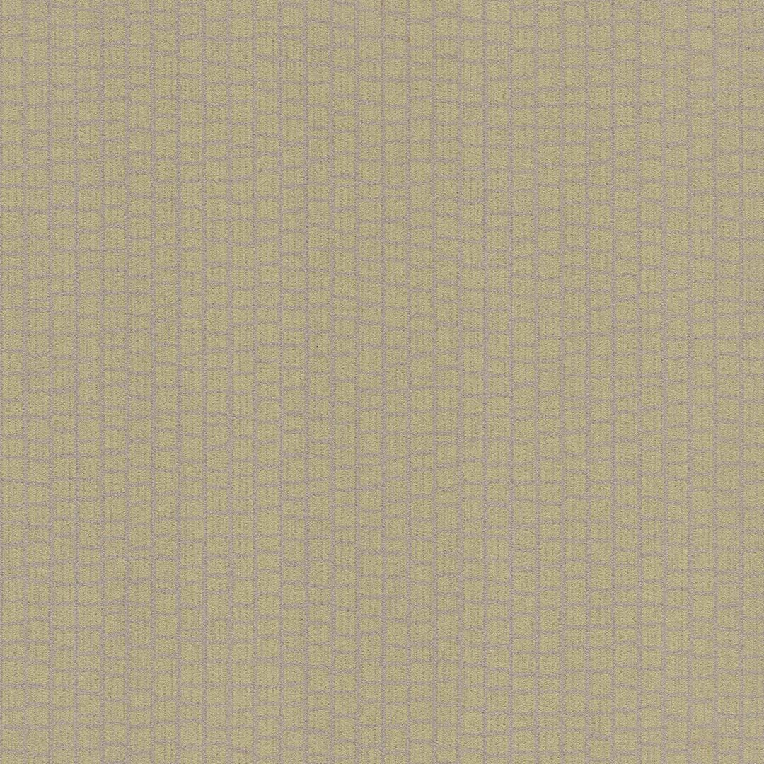 SPECTRA CHAPTER 1 BB-CI-12