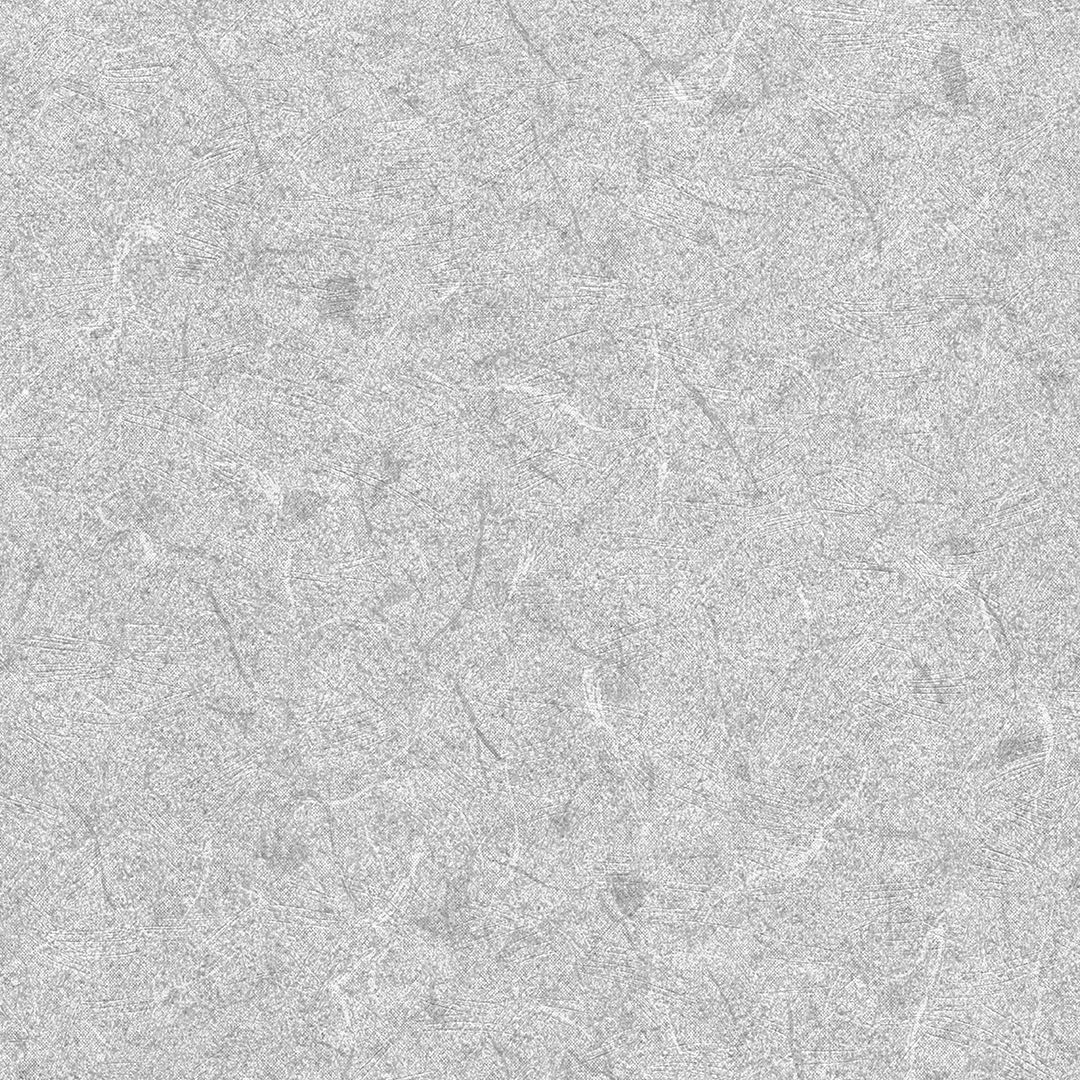 SPECTRA CHAPTER 1 SP-66-36