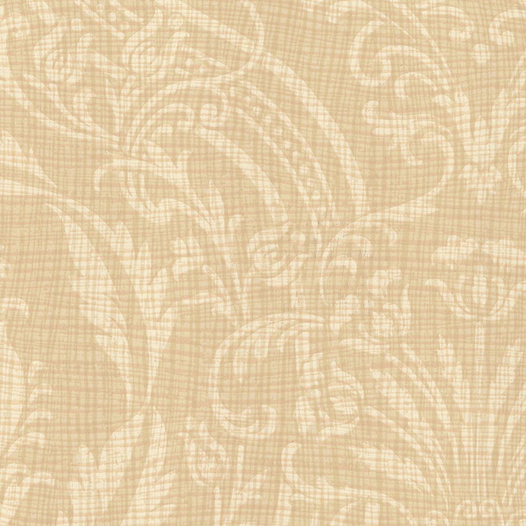 VISION CHAPTER 1 SX-GA-10