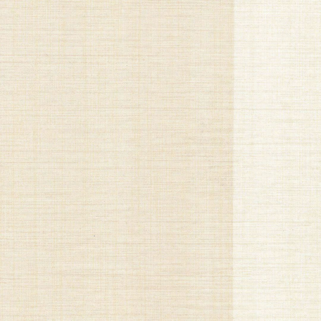 VISION CHAPTER 1 SX-JS-12