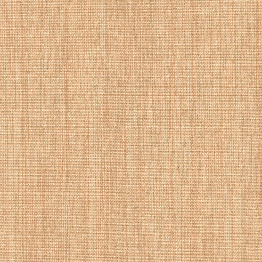 VISION CHAPTER 1 SX-JU-13