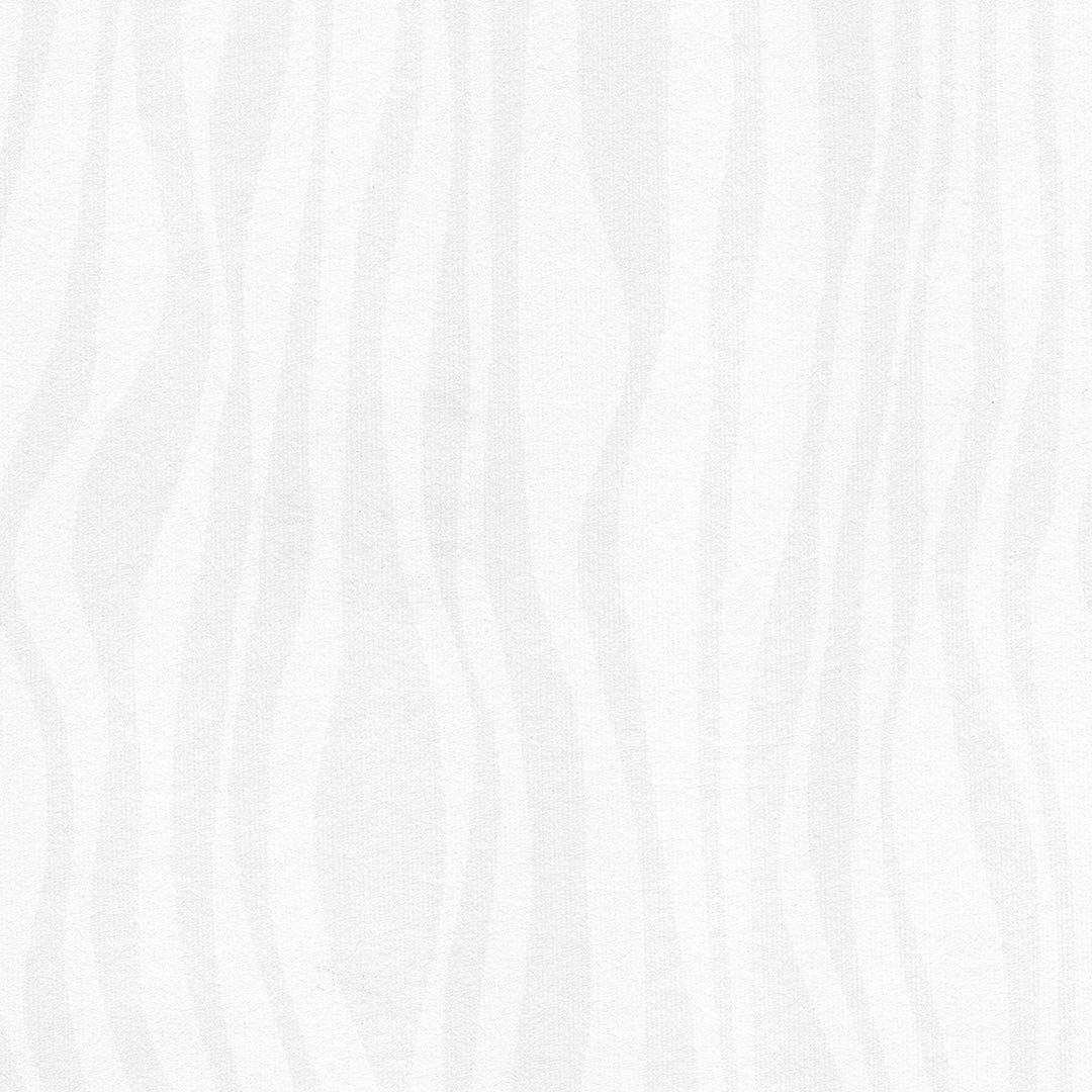 VISION CHAPTER 2 AAG4506