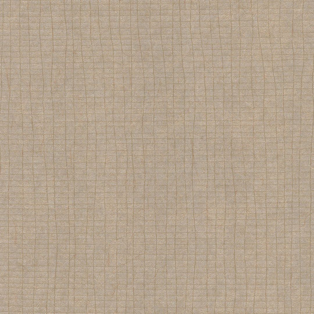 VISION CHAPTER 2 BB-KM-06