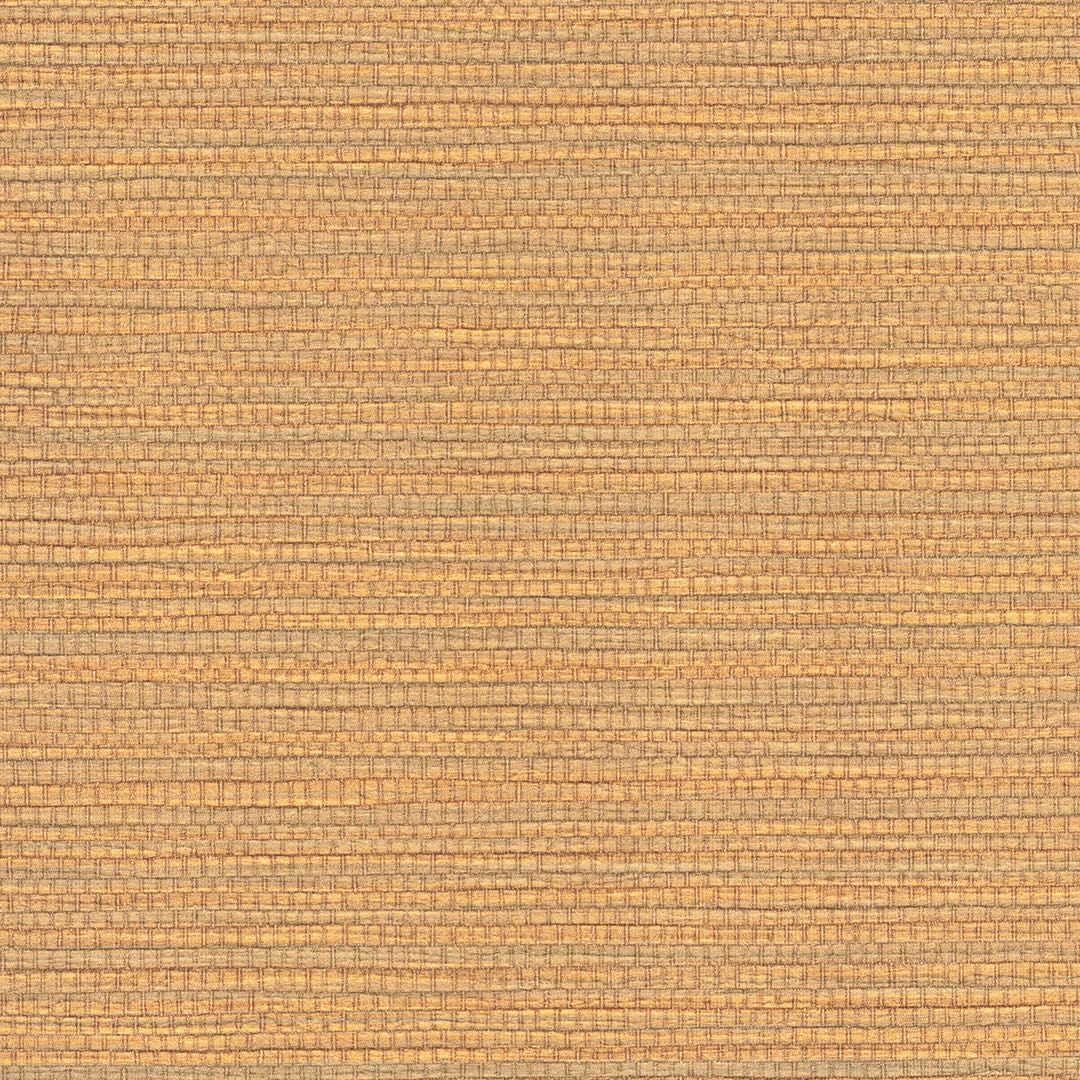 VISION CHAPTER 2 CD2SAM04