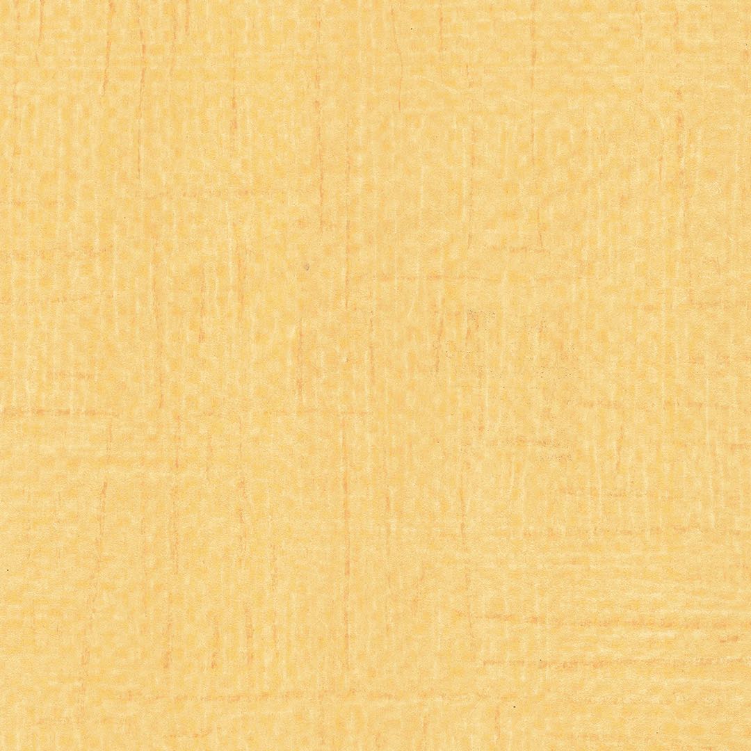 VISION CHAPTER 2 SP-MA-13