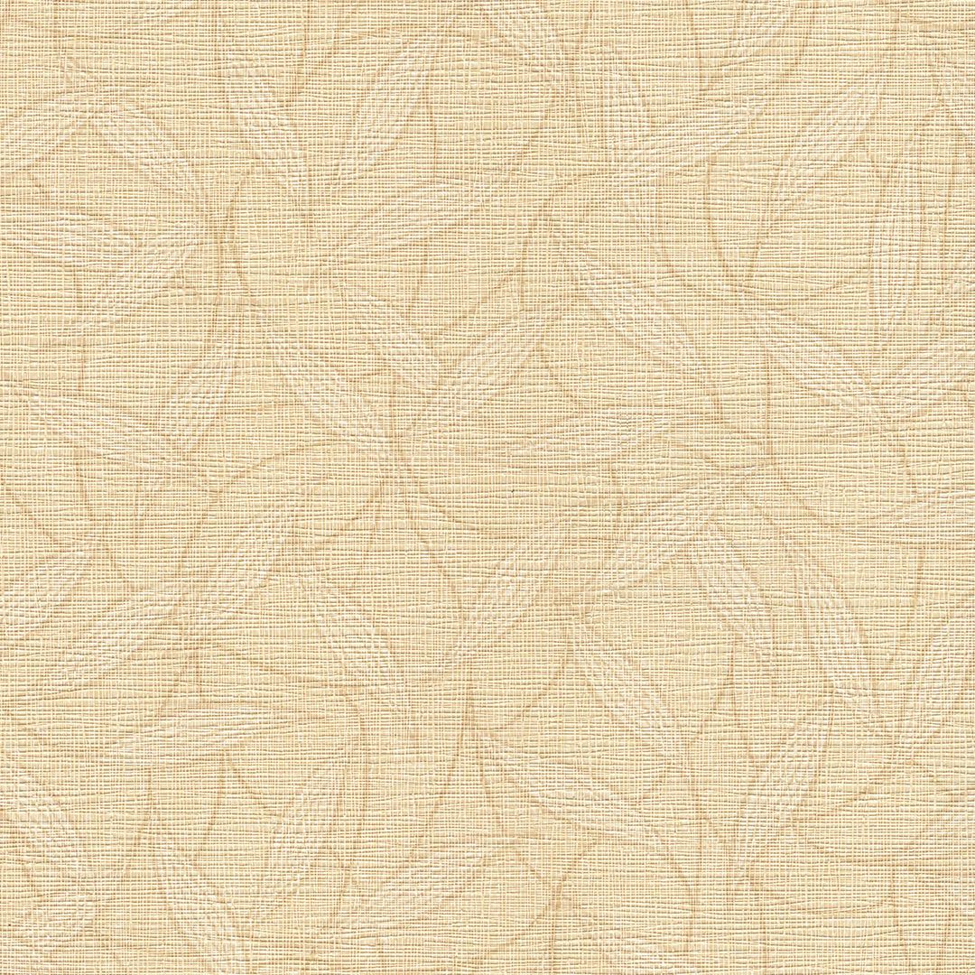 VISION CHAPTER 2 SX-FL-07