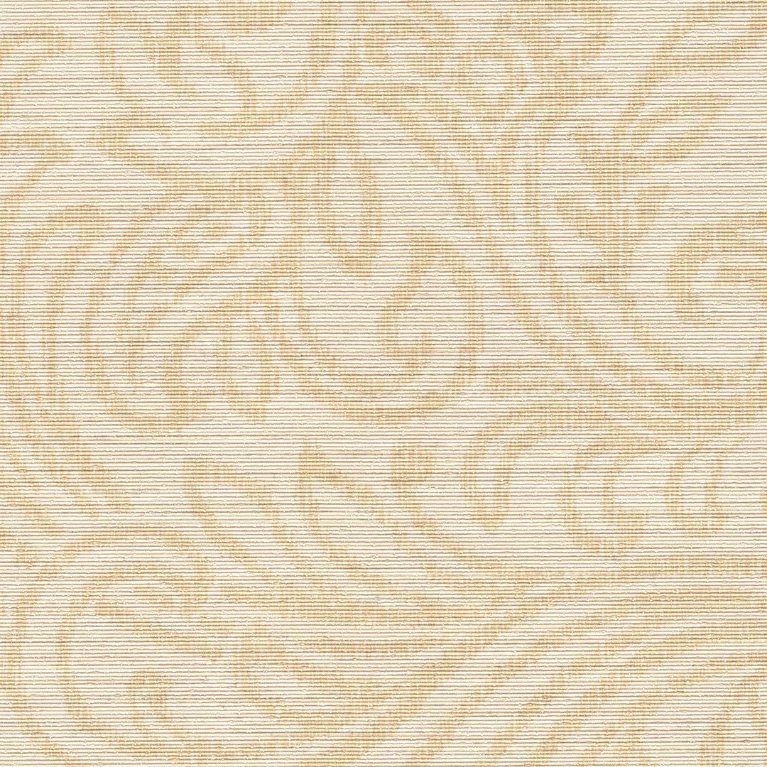 VISION CHAPTER 2 SX-SW-07