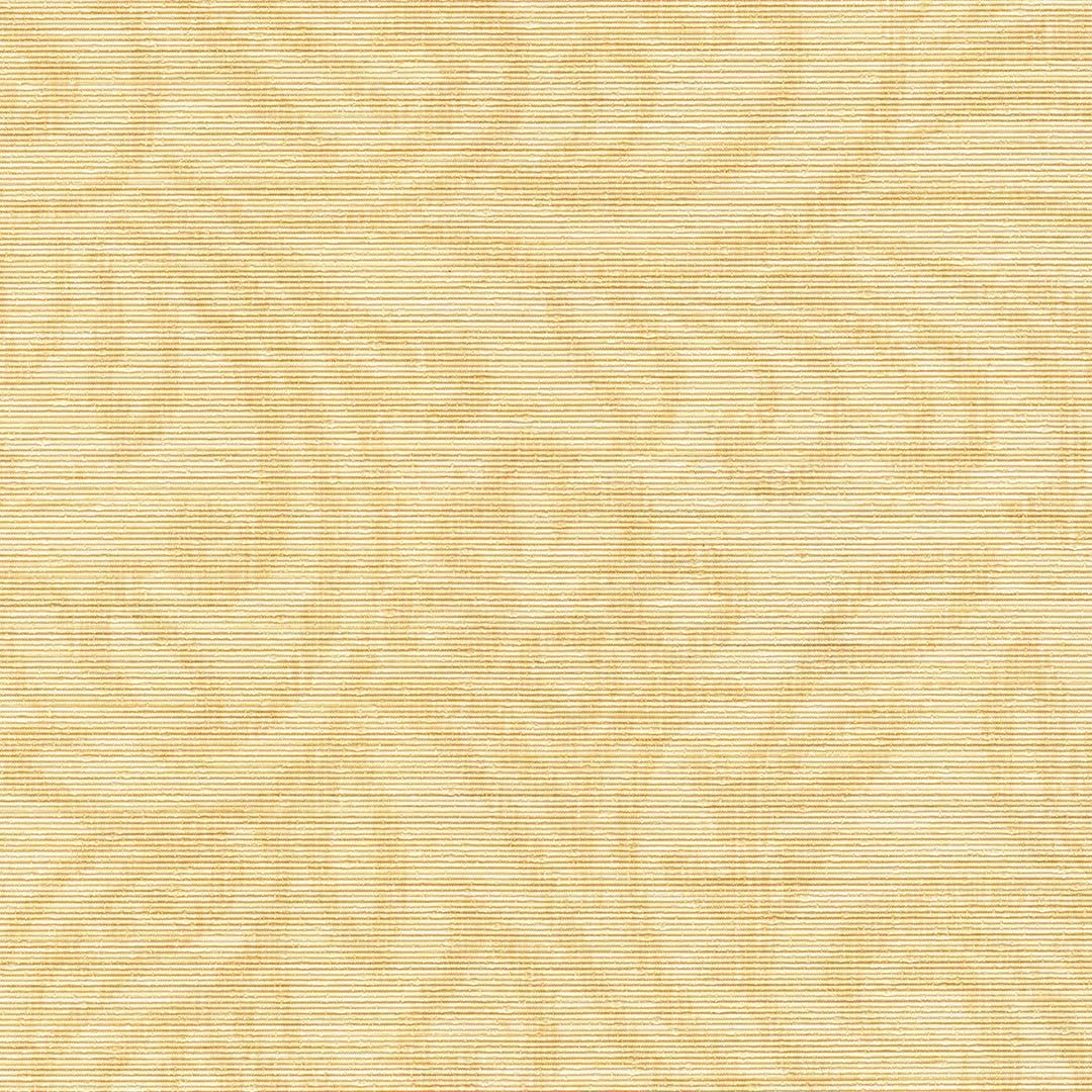 VISION CHAPTER 2 SX-SW-09