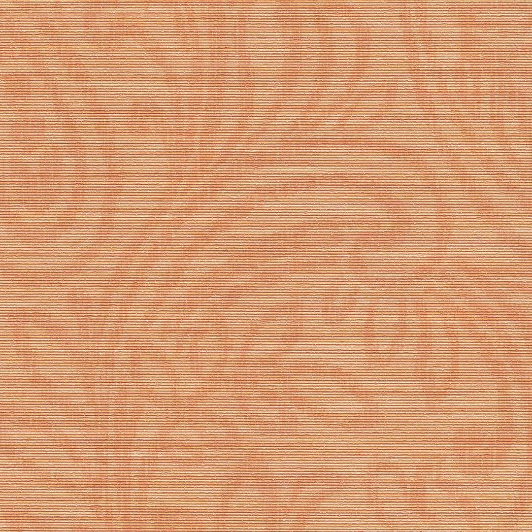 VISION CHAPTER 2 SX-SW-10